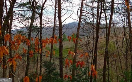 20 AC Hidaway Drive, Ellijay GA 30536