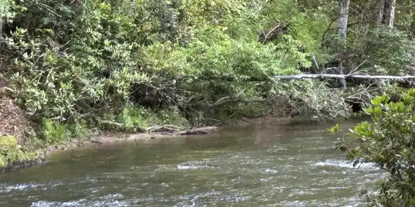 Rivers End Trail, Suches GA 30572