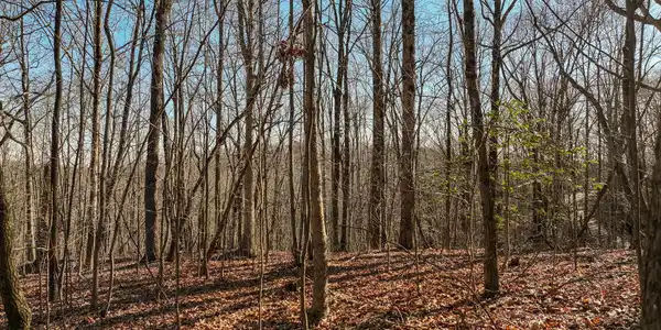 Lot 5 Mount Mincie Road, Murrayville GA 30564