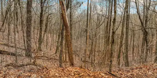 Lot 6 Mount Mincie Road, Murrayville GA 30564