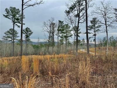 347 Timbercreek Trail, Talking Rock GA 30175