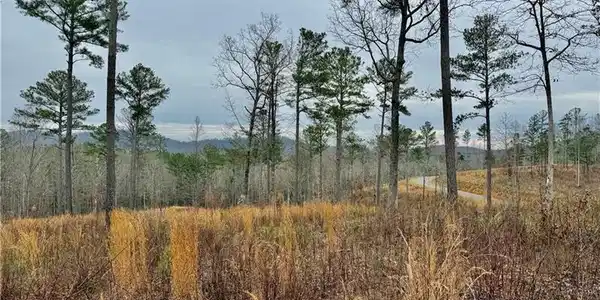 347 Timbercreek Trail, Talking Rock GA 30175