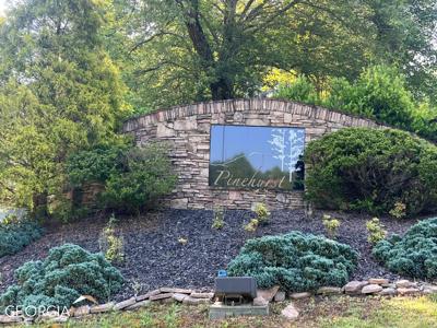 LT 54 Pinehurst Road, Blairsville GA 30512