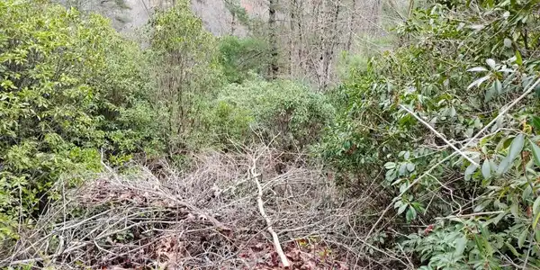 LT 166 Shenendoa Drive # 166, Ellijay GA 30540