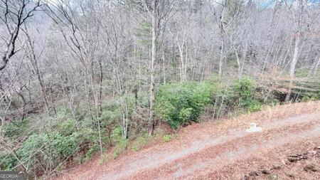 8072 Doublehead Gap Road, Blue Ridge GA 30513