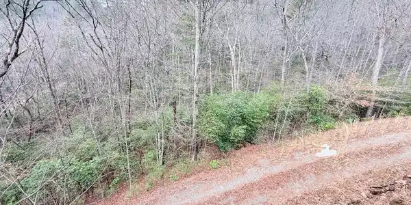 8072 Doublehead Gap Road, Blue Ridge GA 30513