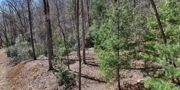 Lot 15 Native Trail, Blue Ridge GA 30513