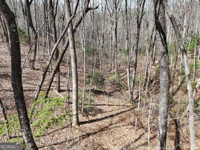 L129/124 Laurel Crossing, Blue Ridge GA 30513