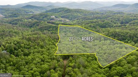 Lot 40, Sautee Nacoochee GA 30571 Mountain Lion Trail