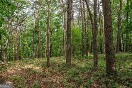 206R Mystic Trail Lane, Jasper GA 30143