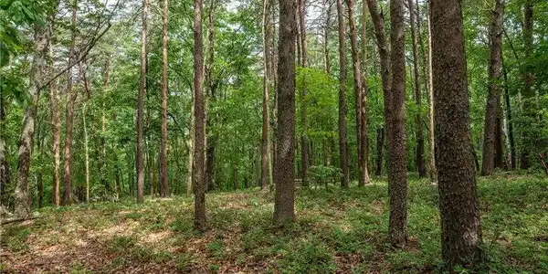206R Mystic Trail Lane, Jasper GA 30143
