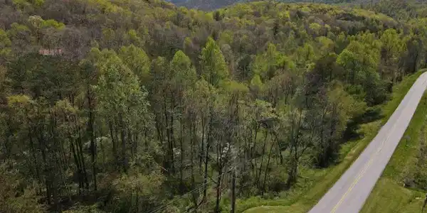 513 Trackrock Gap Road, Blairsville GA 30512