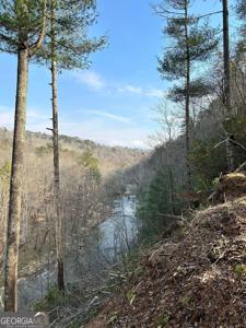 436 Meadow Lane, Talking Rock GA 30175
