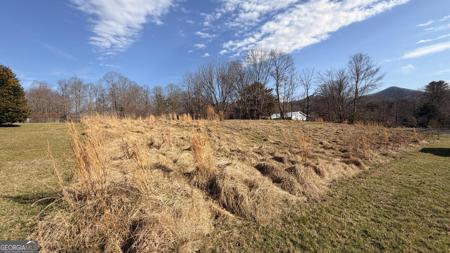 2402 Little John Lane, Hiawassee GA 30546