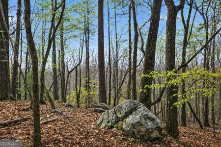 Lot 2, Clarkesville GA 30523 2335 Stonepile Road