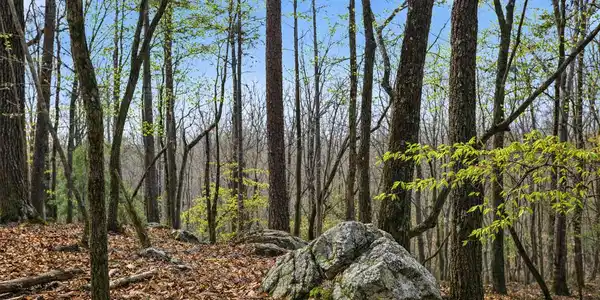 Lot 2, Clarkesville GA 30523 2335 Stonepile Road