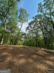 324 Adair Drive, Ranger GA 30734