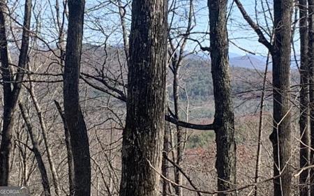 102 Badger Road, Blairsville GA 30512