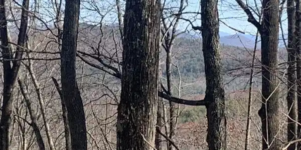 102 Badger Road, Blairsville GA 30512