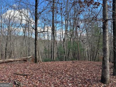 200 Mincey Acres Drive, Murrayville GA 30564