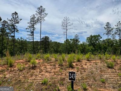 Lot 243 Spear Point Drive, Talking Rock GA 30175