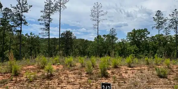 Lot 243 Spear Point Drive, Talking Rock GA 30175