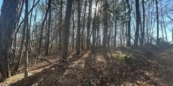 Highland Tree Court, Ranger GA 30734