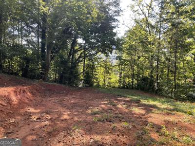 Green Street, Clayton GA 30525