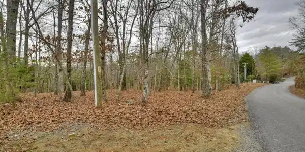 LT 57 Riverwalk On Toccoa # 37, Mineral Bluff GA 30559