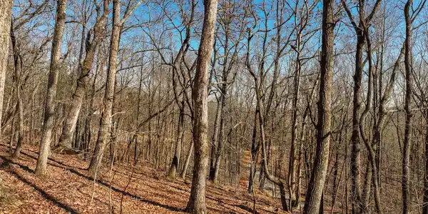 Lot 8 Mount Mincie Road, Murrayville GA 30564