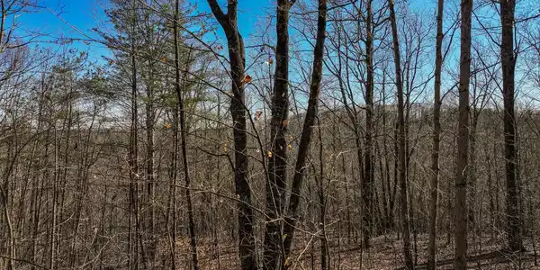Lot 9 Mount Mincie Road, Murrayville GA 30564