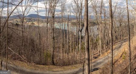 Lot N/A Frog Pond Road, Hiawassee GA 30546