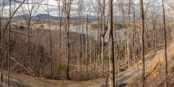 Lot N/A Frog Pond Road, Hiawassee GA 30546