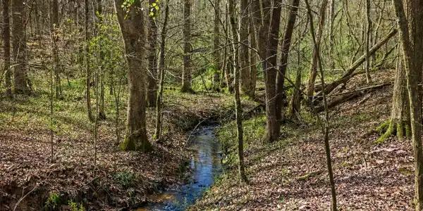 Lot 3, Clarkesville GA 30523 2325 Stonepile Road