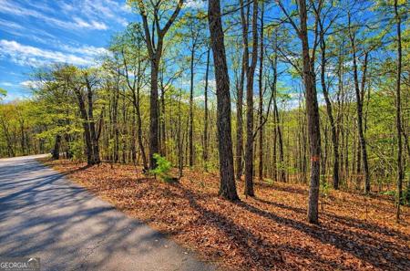 Lot 37 Clear Creek Acres, Talking Rock GA 30175