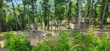 LT 106 Split Creek Road # 106, Morganton GA 30560