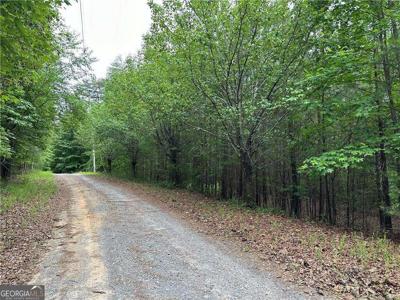 585 Galaxy Way, Ranger GA 30734