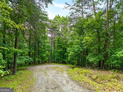 1332 Birch Lane NE, Ranger GA 30734