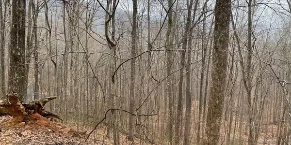 Lot 18 Shooting Creek Trails, Hayesville NC 28904