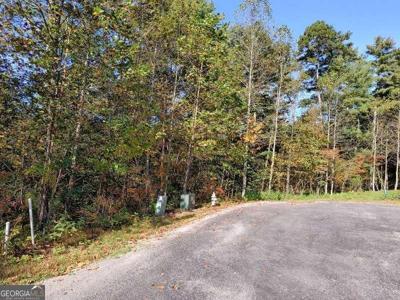 Lot 95 Cedar Road # 95, Ellijay GA 30540