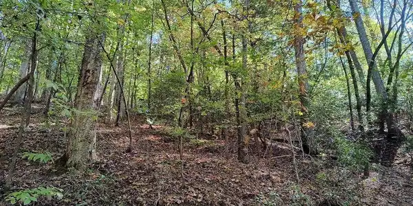 Lot 334 Cold Stream Court # 334, Ellijay GA 30540