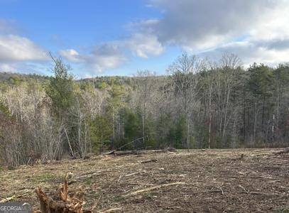 LT37 Blue Creek Road, Morganton GA 30560