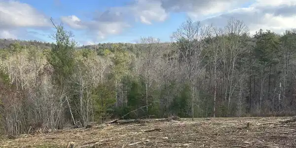 LT37 Blue Creek Road, Morganton GA 30560
