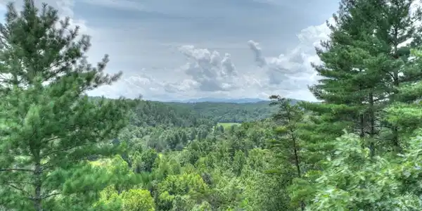 LT 22 Rolling Hills Drive # 22, Morganton GA 30560