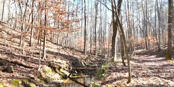 Lot 2, Acworth GA 30102 6147 Little Ridge Road