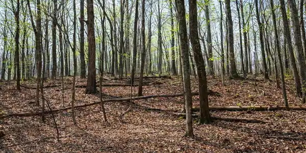 Lot 4, Clarkesville GA 30523 2315 Stonepile Road