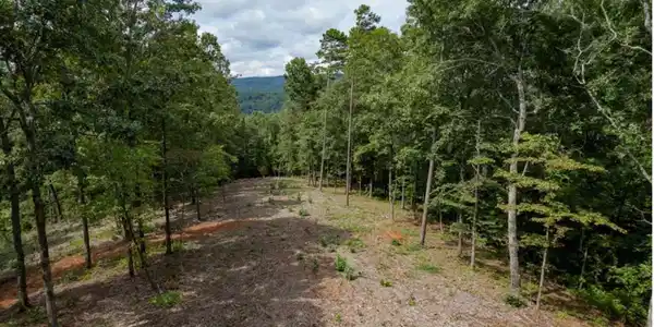 Lot 315 Pebble Trace # 315, Talking Rock GA 30175