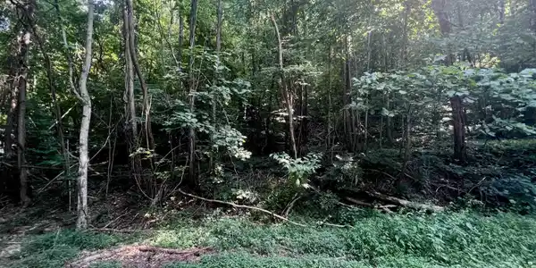 Lot 13 Chalet Drive, Sautee Nacoochee GA 30571