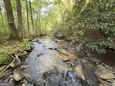 443 Mt Springer Road, Ellijay GA 30540