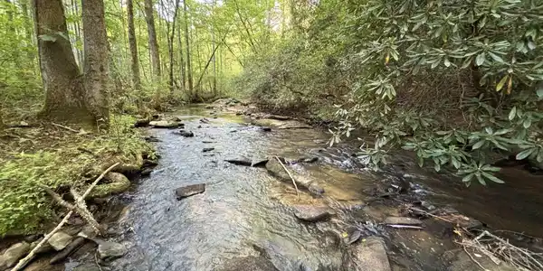 443 Mt Springer Road, Ellijay GA 30540